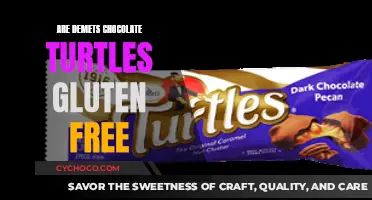 Delicious Discoveries: Are Demet's Chocolate Turtles Gluten-Free?
