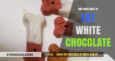 Can Dogs Enjoy White Chocolate? A Comprehensive Guide for Pet Owners
