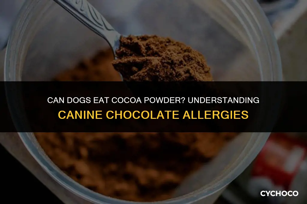 are dogs allergic to cocoa powder