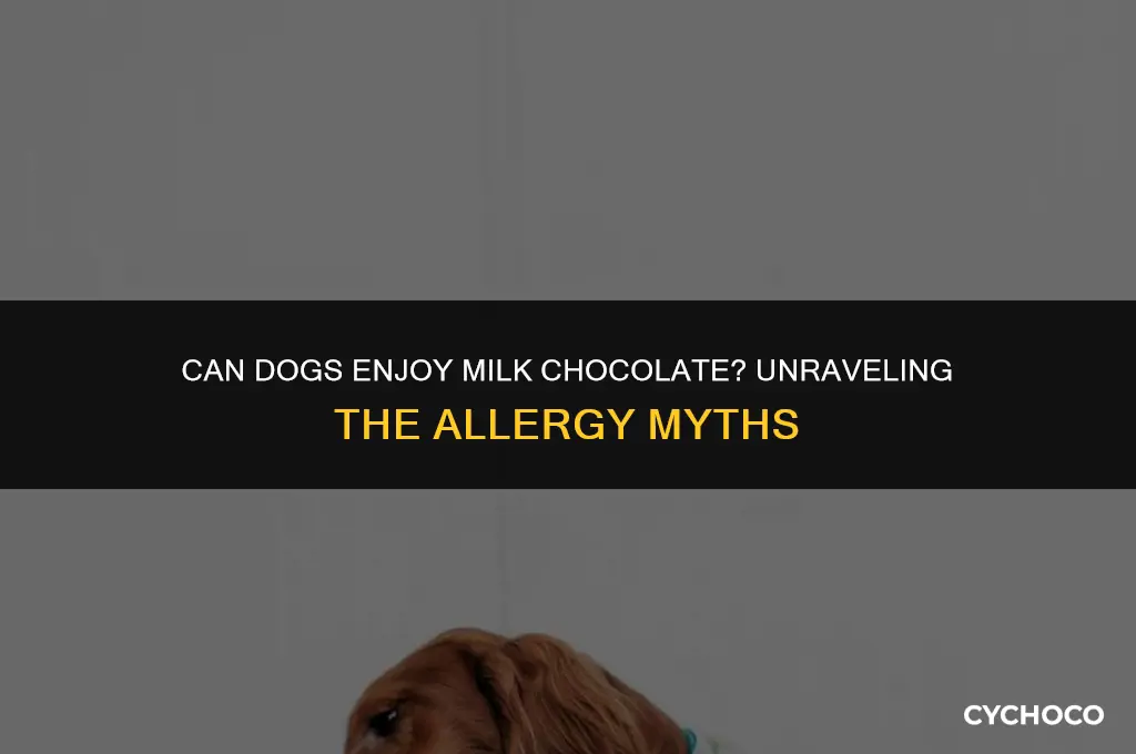 are dogs allergic to milk chocolate