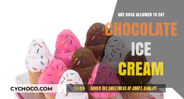 Can Dogs Enjoy Chocolate Ice Cream? A Sweet Treat or Risky Indulgence?