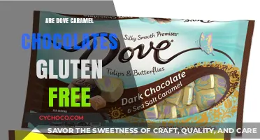 Delving into Dove: Are Their Caramel Chocolates Gluten-Free?