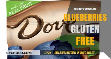 Deliciously Gluten-Free: Dove Chocolate Blueberries Unveiled