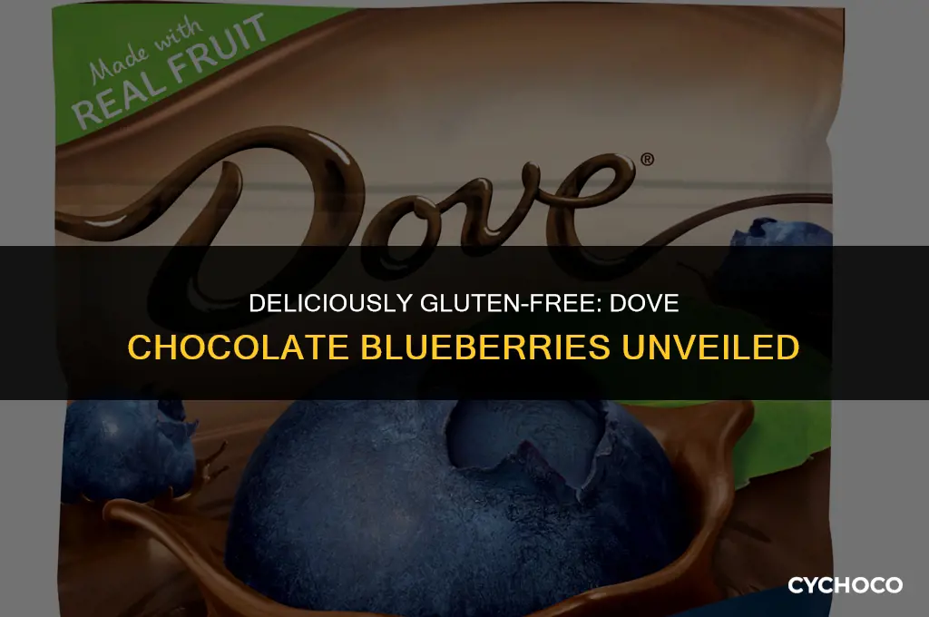 are dove chocolate blueberries gluten free