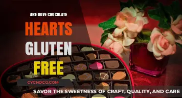 Are Dove Chocolate Hearts Gluten-Free? A Sweet Answer Revealed