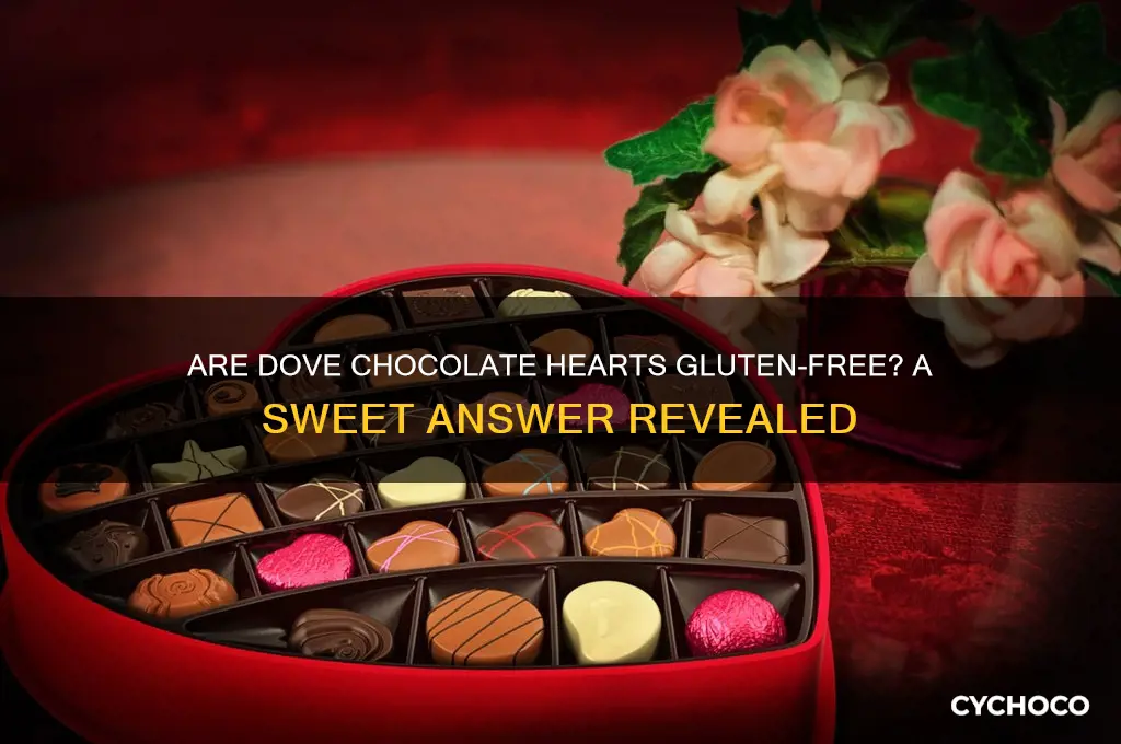 are dove chocolate hearts gluten free