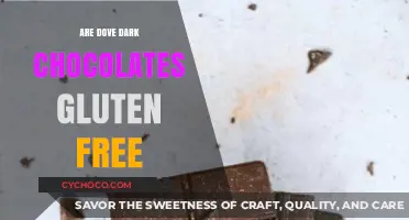Are Dove Dark Chocolates Gluten-Free? A Complete Guide for Chocolate Lovers