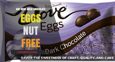 Indulge Safely: Dove Milk Chocolate Eggs - A Nut-Free Delight!