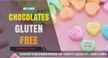 Are Elmer Chocolates Gluten-Free? A Sweet and Safe Guide