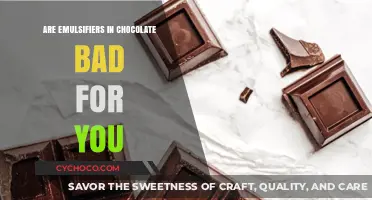 Unveiling the Truth: Emulsifiers in Chocolate - Friend or Foe?