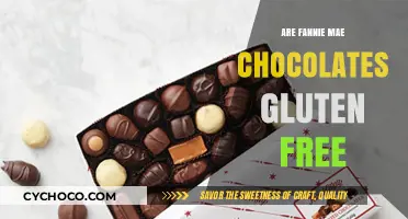 Delving into Deliciousness: Are Fannie Mae Chocolates Gluten-Free?