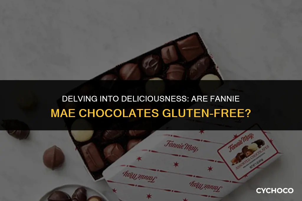 are fannie mae chocolates gluten free