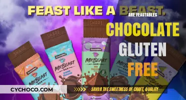 Deliciously Safe: Are Feastables Chocolates Gluten-Free?