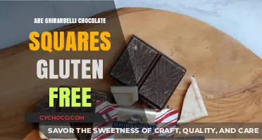 Are Ghirardelli Chocolate Squares Gluten-Free? A Sweet Answer