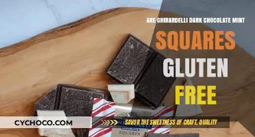 Ghirardelli Dark Chocolate Mint Squares: Gluten-Free Indulgence Explained