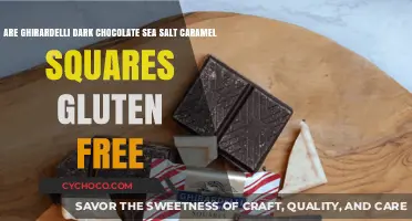 Ghirardelli Dark Chocolate Sea Salt Caramel Squares: Gluten-Free or Not?