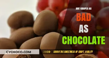 Decoding the Myth: Are Grapes Really as Indulgent as Chocolate?