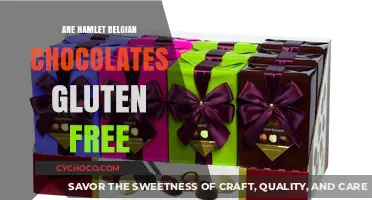 Indulge in Hamlet Belgian Chocolates: A Gluten-Free Delight