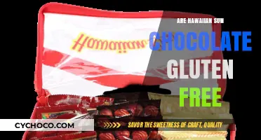 Delicious Hawaiian Sun Chocolate: A Gluten-Free Treat for Your Taste Buds