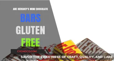 Deliciously Gluten-Free: Are Hershey's Mini Chocolate Bars Safe for Celiacs?