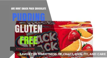 Deliciously Gluten-Free: Hunt's Snack Pack Chocolate Pudding