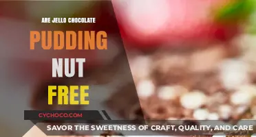 Delicious and Safe: Jello Chocolate Pudding's Nut-Free Promise