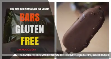 Indulge in Magnum: Gluten-Free Chocolate Ice Cream Bars?