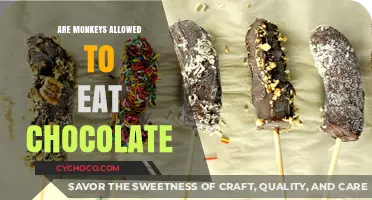Sweet Treats for Primates: The Chocolate Conundrum