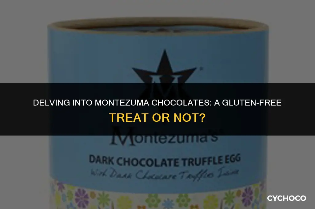 are montezuma chocolates gluten free