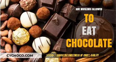 Exploring Halal Treats: Is Chocolate Permissible for Muslims?