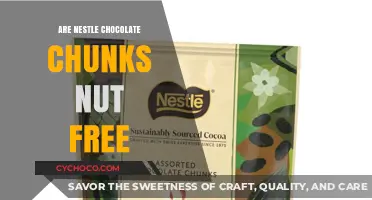 Deliciously Safe: Are Nestlé Chocolate Chunks Nut-Free?