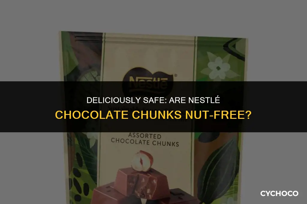 are nestle chocolate chunks nut free