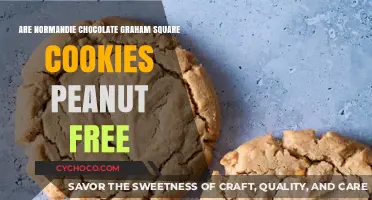 Delightful Treats: Are Normandie Chocolate Graham Square Cookies Peanut-Free?