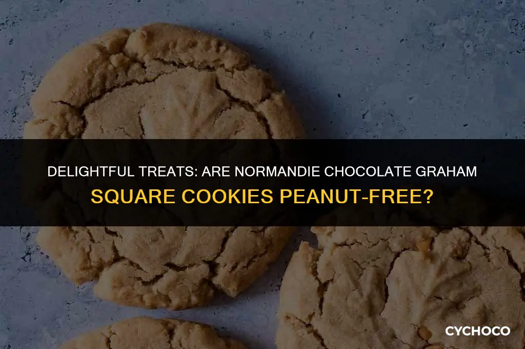 are normandie chocolate graham square cookies peanut free
