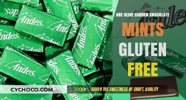 Delving into Olive Garden's Chocolate Mints: A Gluten-Free Treat?
