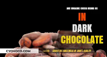 Exploring the Richness: Are Organic Cocoa Beans Ideal for Dark Chocolate?