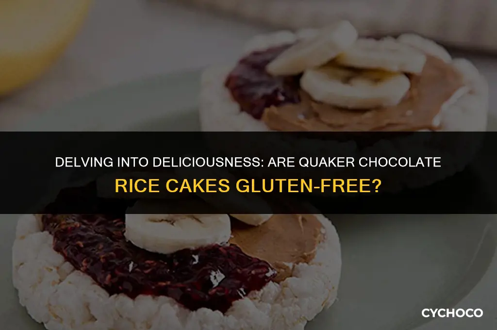are quaker chocolate rice cakes gluten free