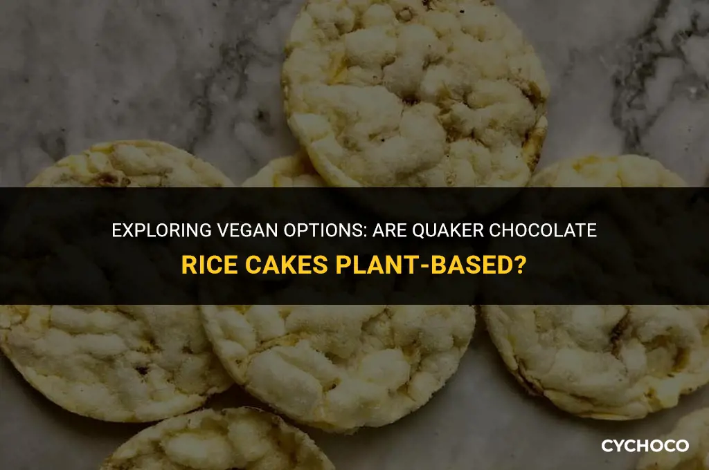 are quaker chocolate rice cakes vegan