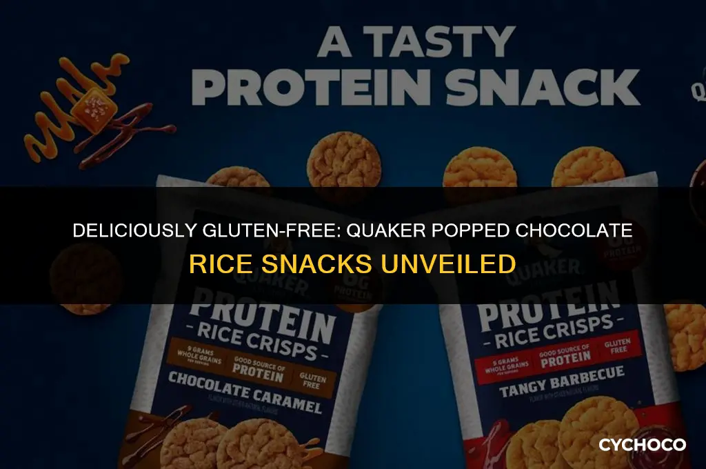 are quaker popped chocolate rice snacks gluten free