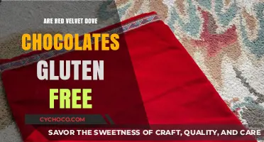 Indulge Safely: Red Velvet Dove Chocolates and Gluten Freedom