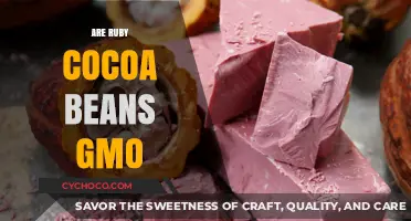 Unveiling the Truth: Are Ruby Cocoa Beans GMO?
