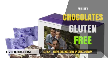 Are See's Chocolates Gluten-Free? A Sweet Guide for Celiacs