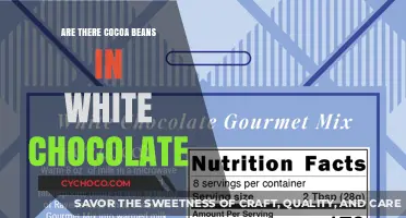 Unveiling the Mystery: Does White Chocolate Contain Cocoa Beans?