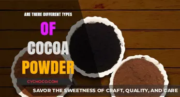 Exploring the Rich World of Cocoa Powders: A Guide to Varieties