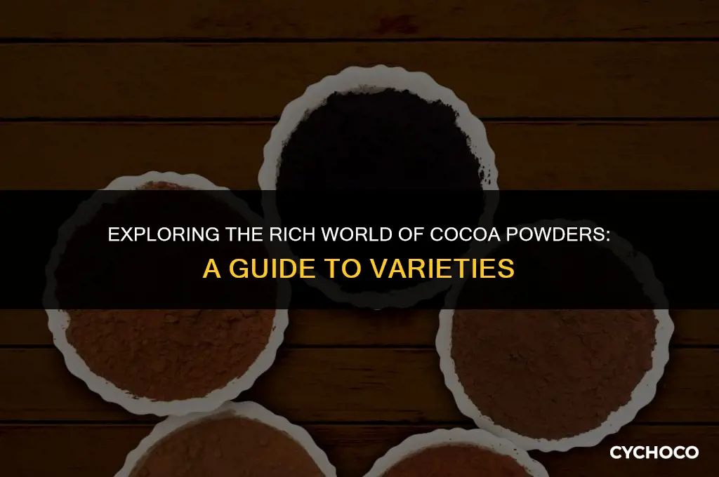 are there different types of cocoa powder