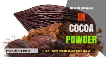 Exploring the Health Benefits: Flavonoids in Cocoa Powder