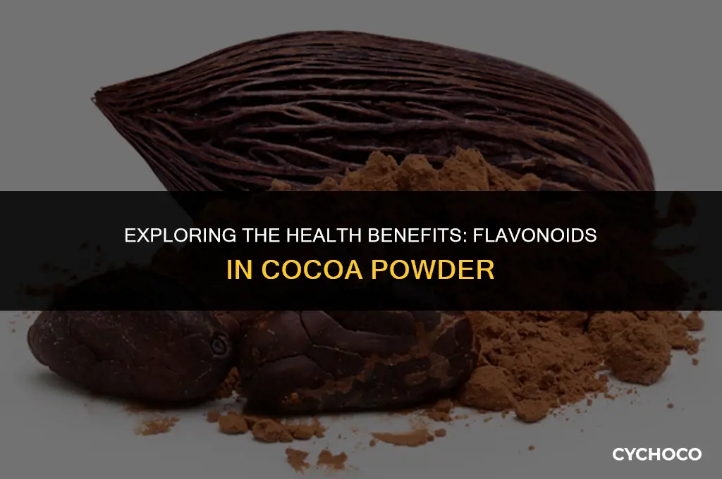 are there flavonoids in cocoa powder