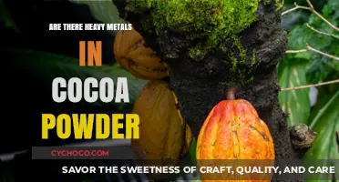 Unveiling the Truth: Heavy Metals in Cocoa Powder - A Health Concern?
