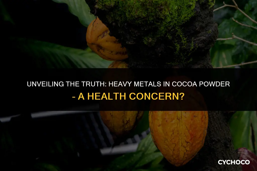 are there heavy metals in cocoa powder