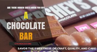Unveiling the Hidden Costs Behind Your Favorite Chocolate Bar